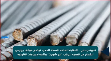 تنويه رسمي.. النقابة العامة للسكة الحديد توضح موقف رئيس القطار من قضية الراكب “أبو شورت” وتتجه لإجراءات قانونية